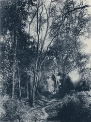 Lydenburg地区の風景（モノクロ写真