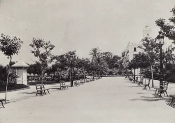カディス：Alameda de Apodaca（モノクロ写真