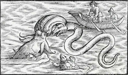 海の怪物、1511
