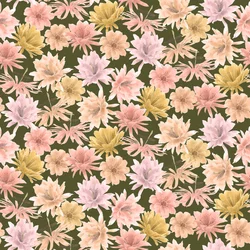 モハベ砂漠の花模様、2021年（黒鉛筆＆デジタル）