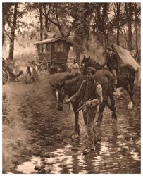 遊牧民、1903年。