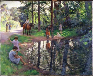 The Pond