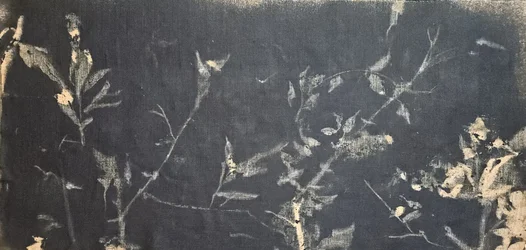暗い植物学的習作