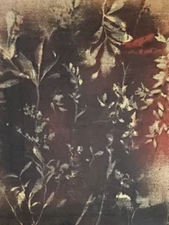 暗い植物習作