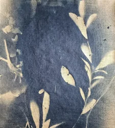 藍色の葉の印象