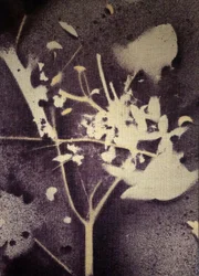 紫の植物学的シルエット