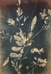 ヴィンテージ風の青い植物画
