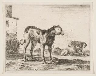 プレート11：さまざまな動物の犬Diversi animali、ca. 1641年。