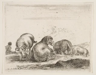 プレート12：牧草地の羊と羊、さまざまな動物Diversi animali、ca。 1641年。
