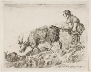 プレート14：さまざまな動物からの山羊を放牧する羊飼いDiversi animali、ca. 1641年。