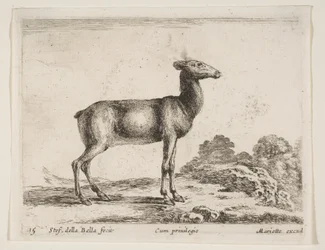 プレート15：doe、さまざまな動物からのさまざまな動物、ca。 1641年。