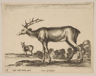 プレート16：さまざまな動物のクワガタDiversi animali、ca. 1641年。