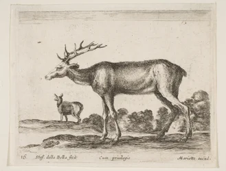 プレート16：さまざまな動物のクワガタDiversi animali、ca. 1641年。