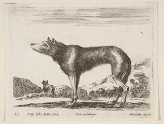 プレート20：オオカミ、さまざまな動物から異なる動物、ca。 1641年。