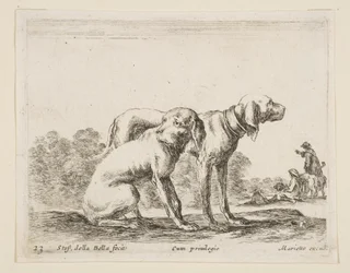 プレート23：さまざまな動物の2匹の猟犬Diversi animali、ca. 1641年。