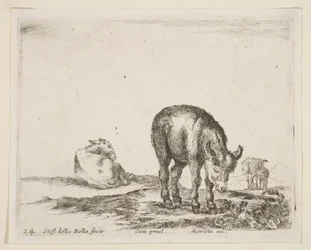 プレート24：さまざまな動物のロバ、Diversi animali、ca。 1641年。