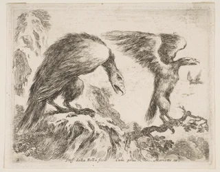 プレート2：ワシとワシ、さまざまな動物からDiversi animali、ca. 1641年。
