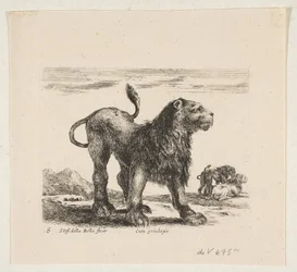 プレート6：ライオン、「様々な動物」より Diversi animali、1641年頃。