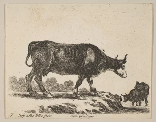 プレート7：さまざまな動物の牛Diversi animali、ca. 1641年。