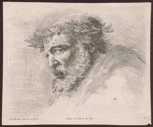 月桂冠をかぶった髭のある老人の頭部習作、左向きの横顔、連作『Principii del disegno』より