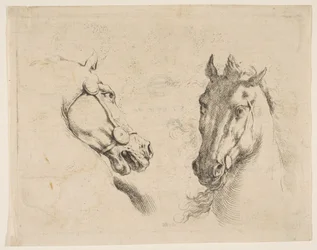 2つの馬の頭、ca。 1649