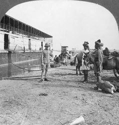 イギリスの将校と先住民兵、バーモ、ビルマ、1908