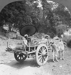 ビルマのミンガン近くのジャングルを旅する家族、1908年