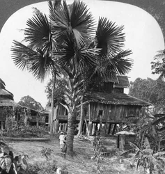 山に建てられたネイティブハウス、バーモ、ビルマ、1908