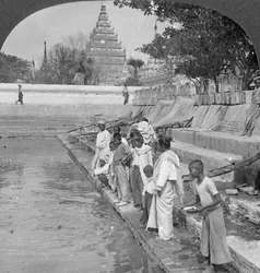 聖なるカメに餌をやる巡礼者、アラカンパゴダ、マンダレー、ビルマ、1908年。