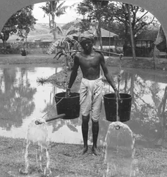 ビルマ、1908年に通りの散水に使用されたじょうろ