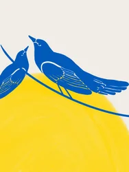 希望に満ちた青い鳥たち
