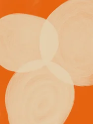 穏やかなオレンジ色の形