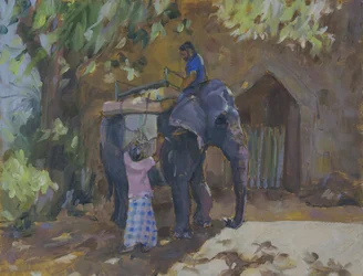 象、スリランカ、2015、