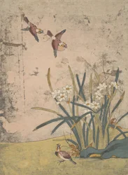鳥と水仙。