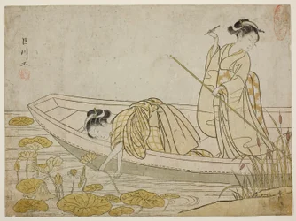 蓮の花を集める