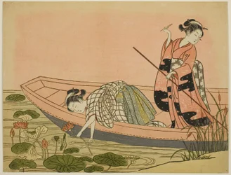 蓮の花を集める