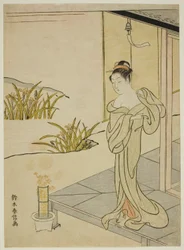 「新版四季の花」より 夏