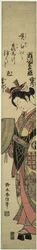 てぇ あｃとｒ 瀬川 菊の女 いい あｓ テェ ぬん 制限