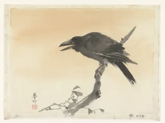 カラス