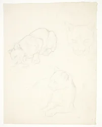 子ライオンの 3 つの習作