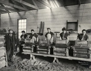 Dynamite mixing, Ardrossan