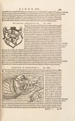 1572年、バーゼルのSebastian MuensterによるCosmographiae Universalisの983ページ