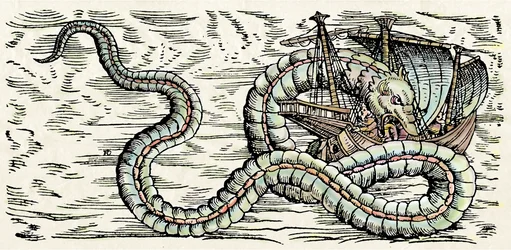 海の怪物、コンラッド・ゲスナー著『Historiae Animalium』からの挿絵