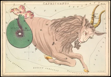 カプリコルヌス、1825年頃（カード、紙、ティッシュ）