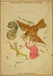 Delphinus、Sagitta、Aquila、Antinous、「ウラニアの鏡」のイラスト