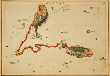 うお座、「ウラニアの鏡」のイラスト