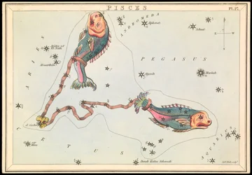 魚座 1825年頃 （カード、紙、ティッシュ）