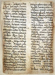 追加。 14425、f.31、ペンタチュークのテキスト ページ。 (創世記、出エジプト記、民数記、申命記)、464 (ベラム)