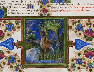 風景の中に怪物のような動物が描かれたページの足元のボーダーフリーズ、第2巻、f207、v、ボルソ・デステの聖書、Taddeo Crivelli（1425-1479）とアシスタント、ラテン語の写本