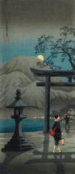 月明かりに照らされた箱根湖
